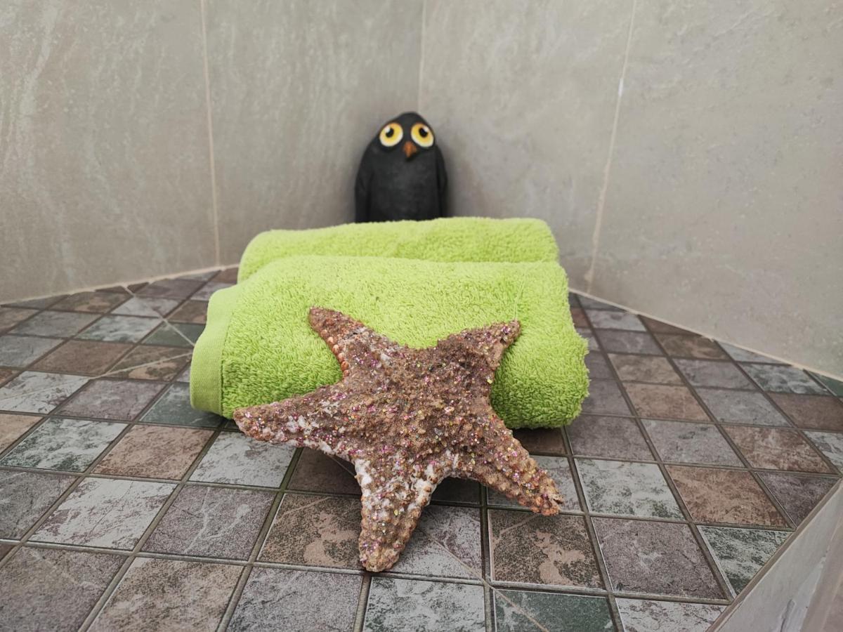 Casa Djarmai Boutique Apartments Cidade do Maio エクステリア 写真
