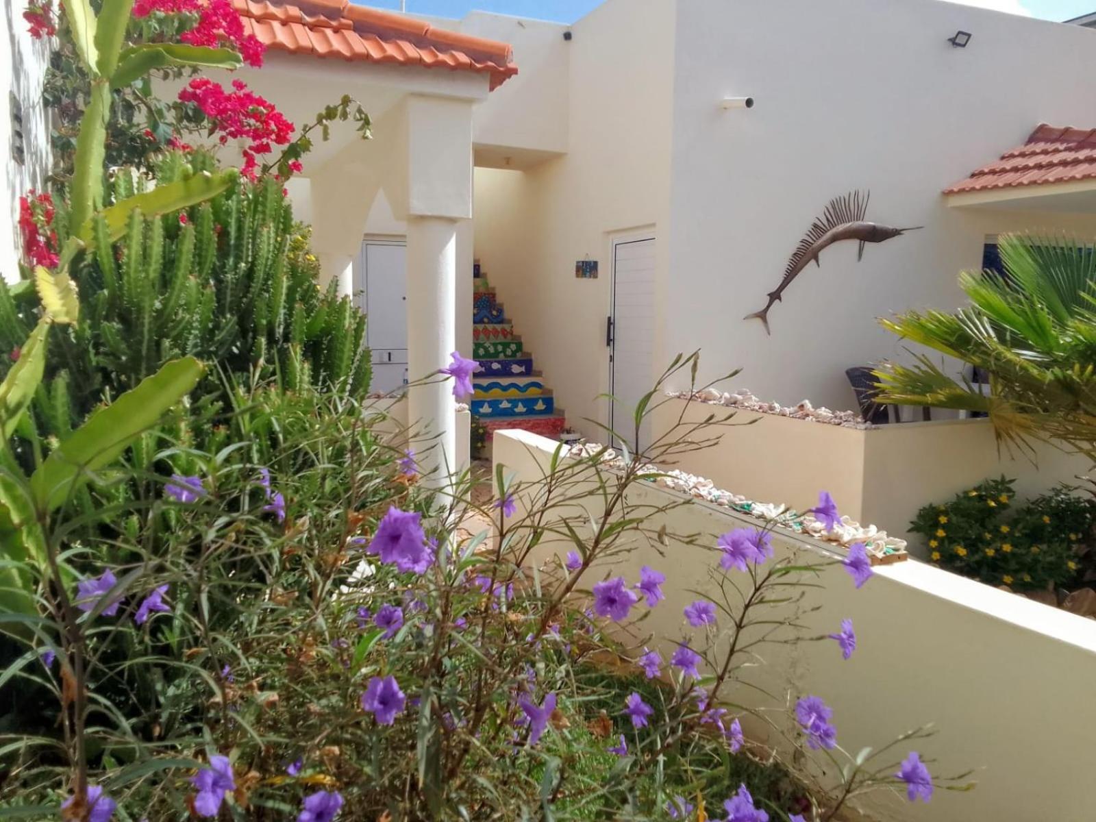 Casa Djarmai Boutique Apartments Cidade do Maio エクステリア 写真